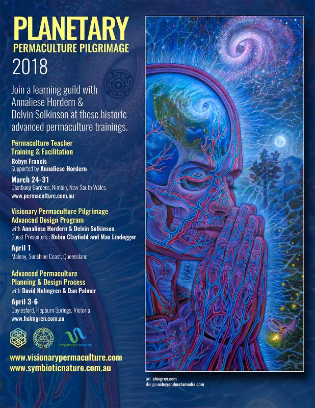 Pilgrimage Poster WEB Planetary Pilgrimage